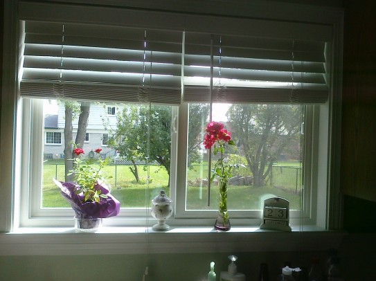 windowsill
